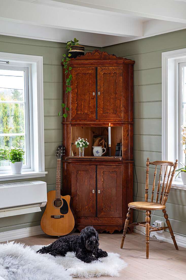 Zimmerecke mit altem Holzschrank, Gitarre, Hund und Fellteppich