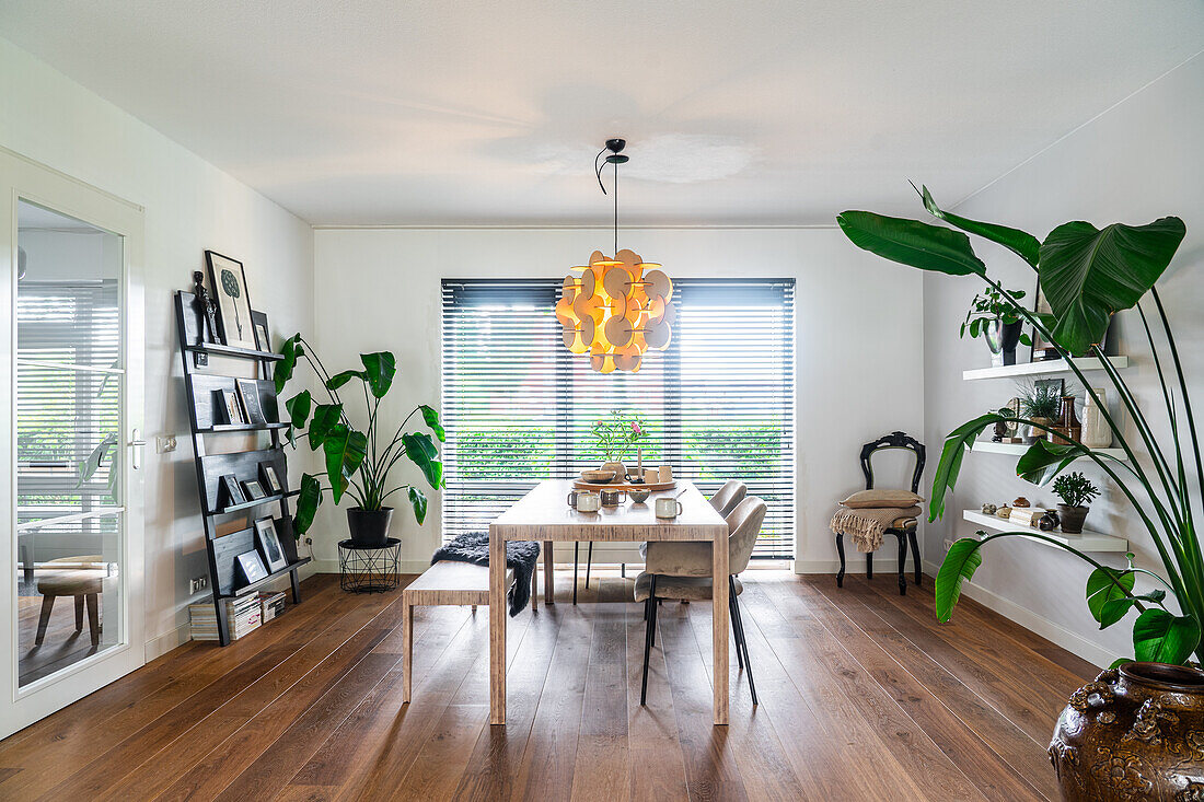 Modern dining area with wooden floor and plants