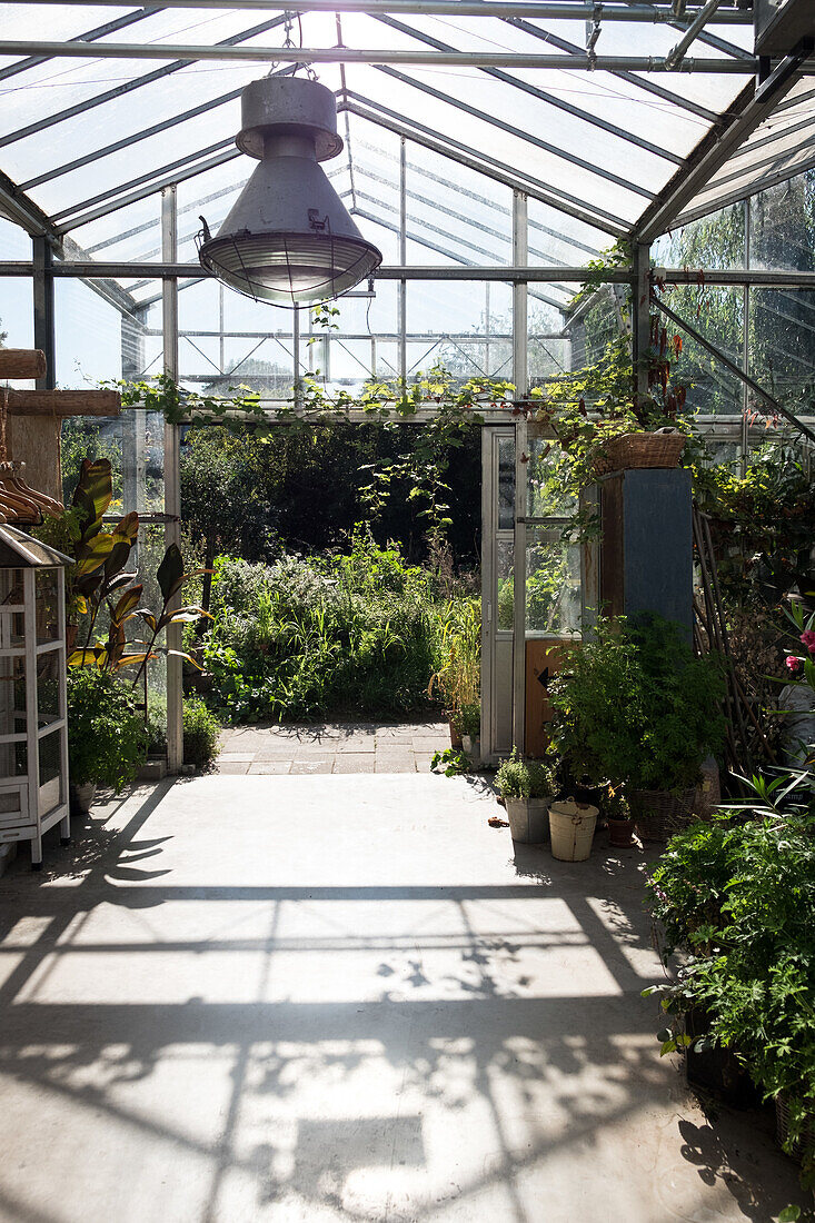 Light-flooded greenhouse with potted plants and glass roof