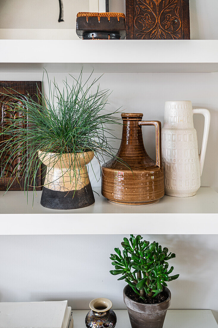 Ceramic vases and houseplants displayed on a shelf