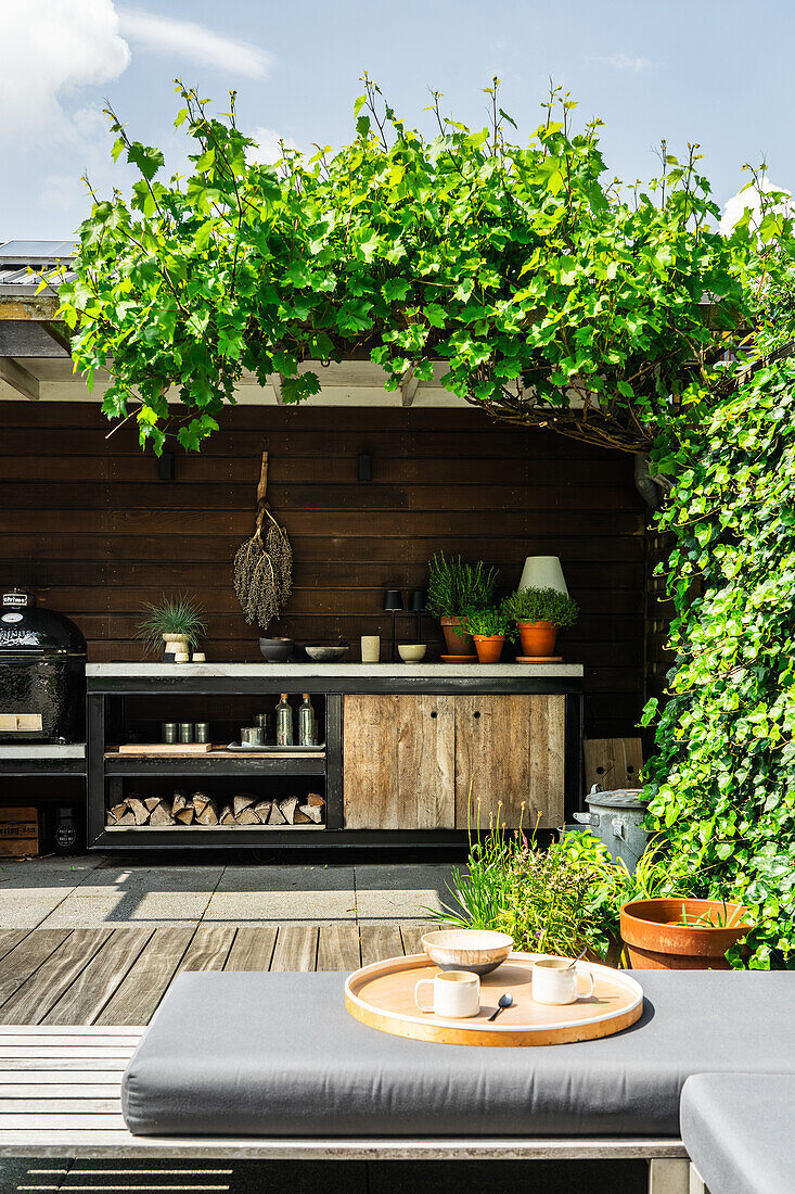 Outdoor kitchen with climbing plants