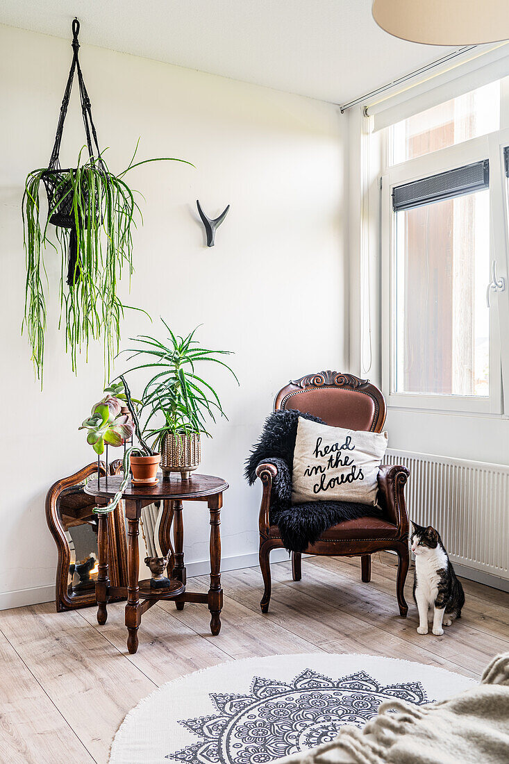 Wohnzimmer mit Katze, Vintage-Sessel und Hängepflanze