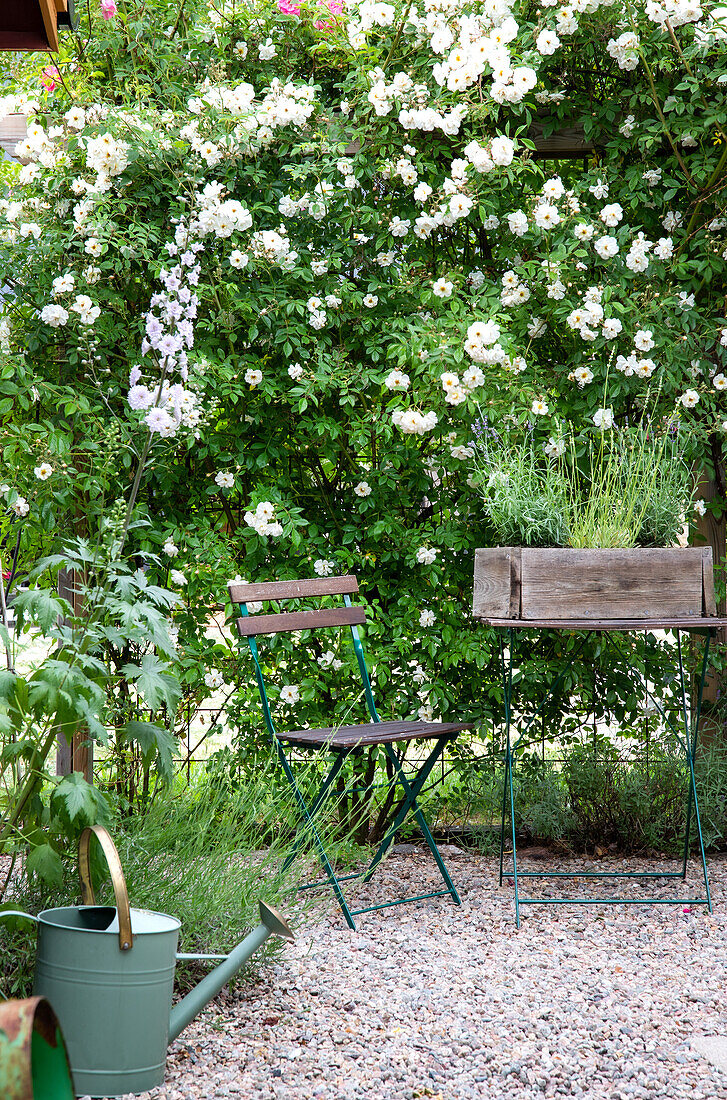 Garden seating area with flowering plants