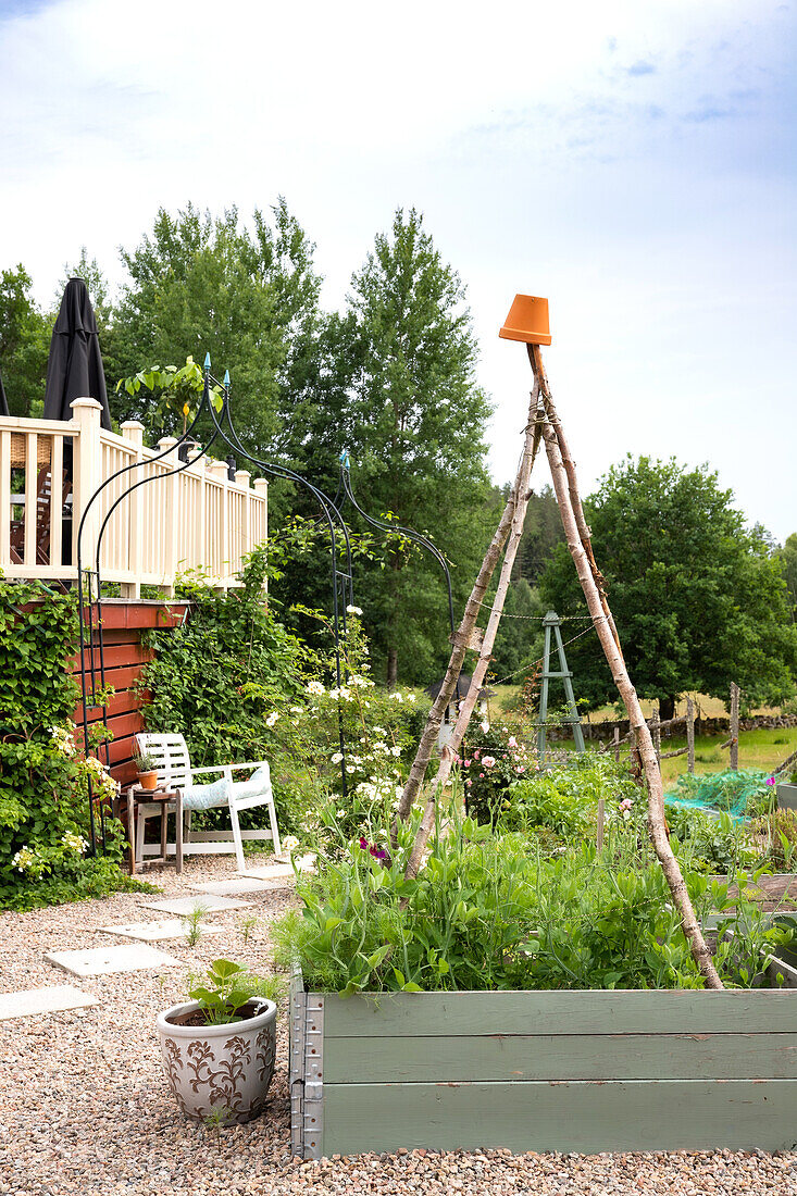 Raised bed with climbing support in summer garden