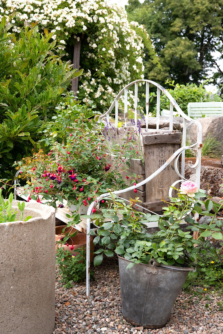 Metal garden bench with flower decoration in a green garden