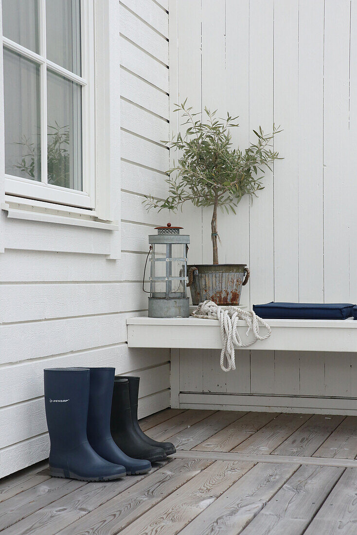 Terrace with wellies and olive tree in a pot