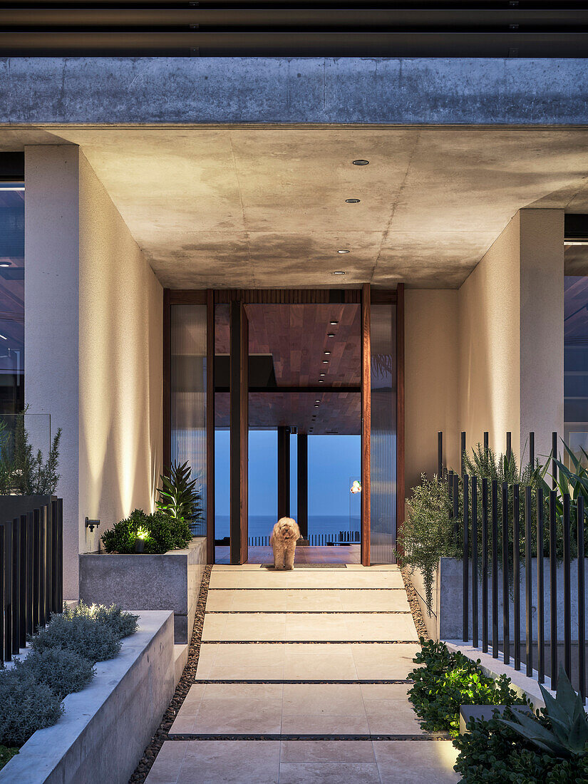 Modern house entrance with illuminated path and dog at the door