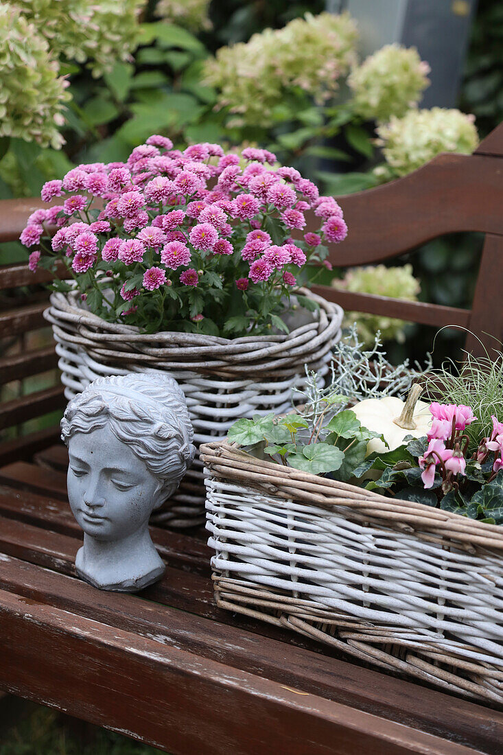 Deko mit Astern (Aster), Kürbis und Alpenveilchen (Cyclamen) in Körben mit Frauenbüste