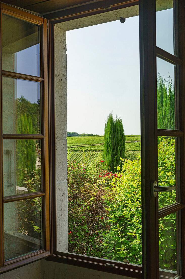 Offenes Fenster mit Blick auf Weinreben im Cognac-Gebiet, Frankreich