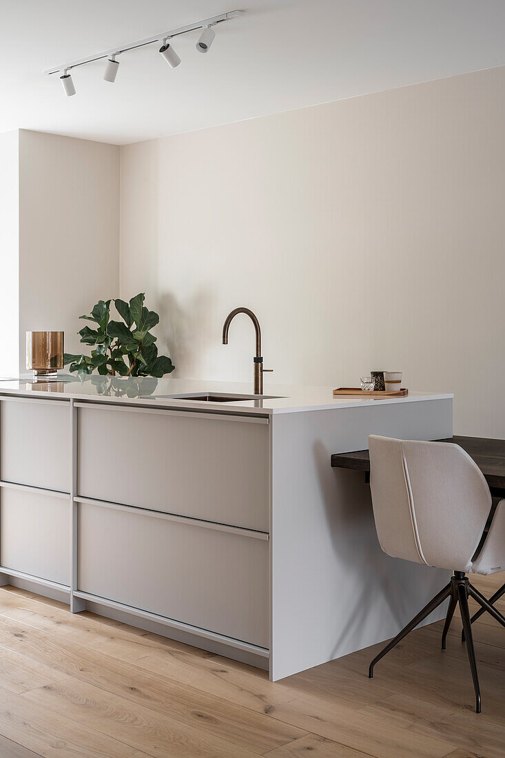 Modern kitchen with customised island in beige tones