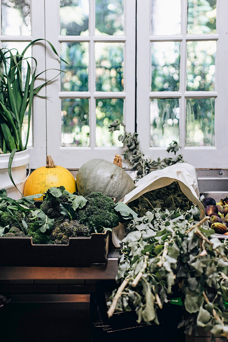 Fresh autumn vegetables on kitchen worktop in front of window