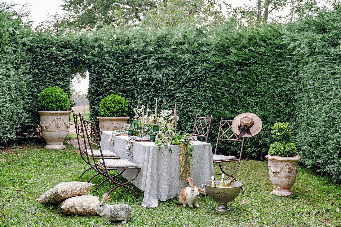 Rabbits sit in front of an elegantly laid garden table