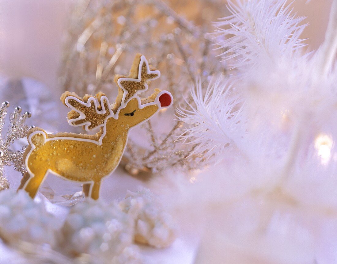 Gingerbread reindeer with winter decoration