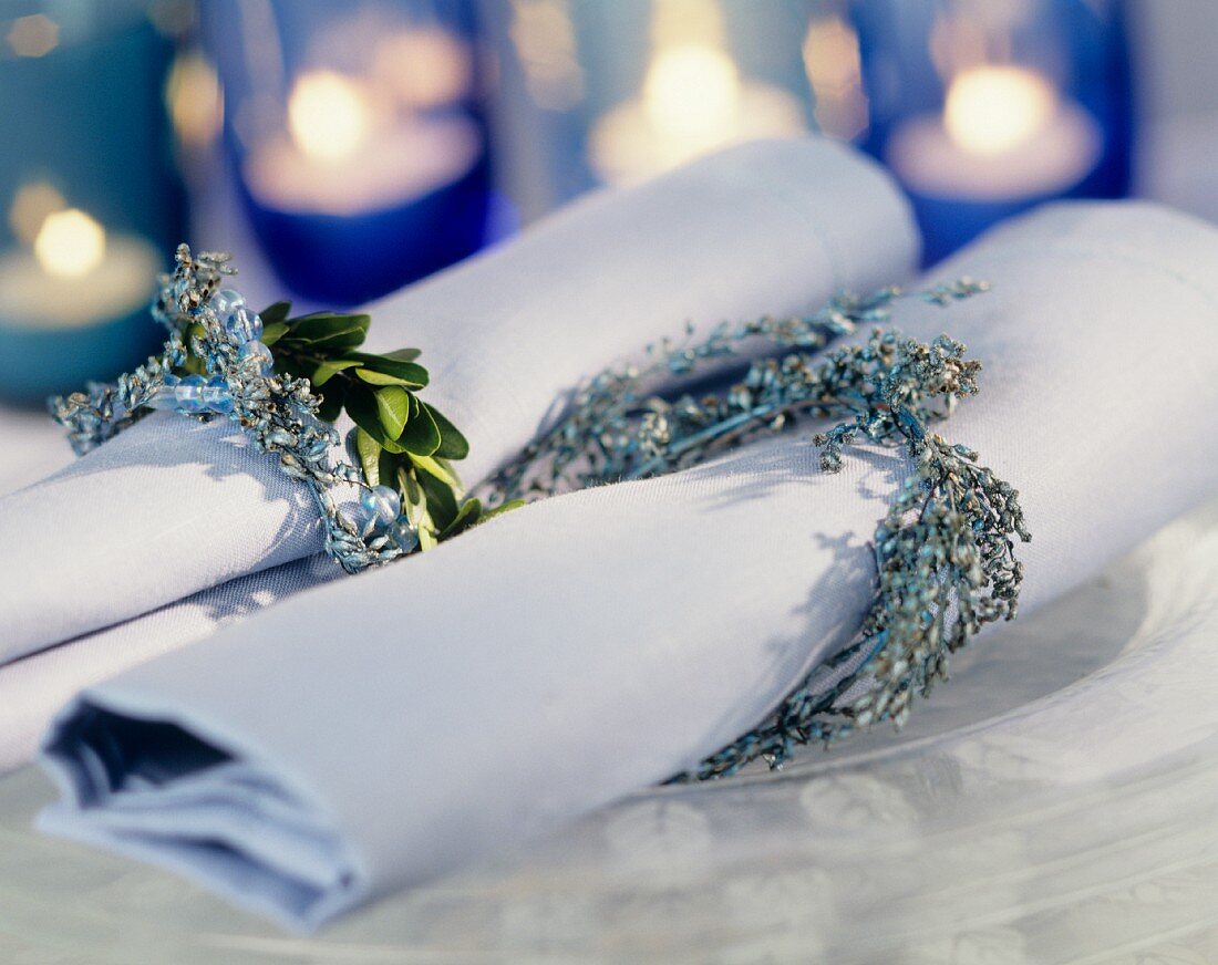 Pale-blue napkins with winter twigs as napkin rings 
