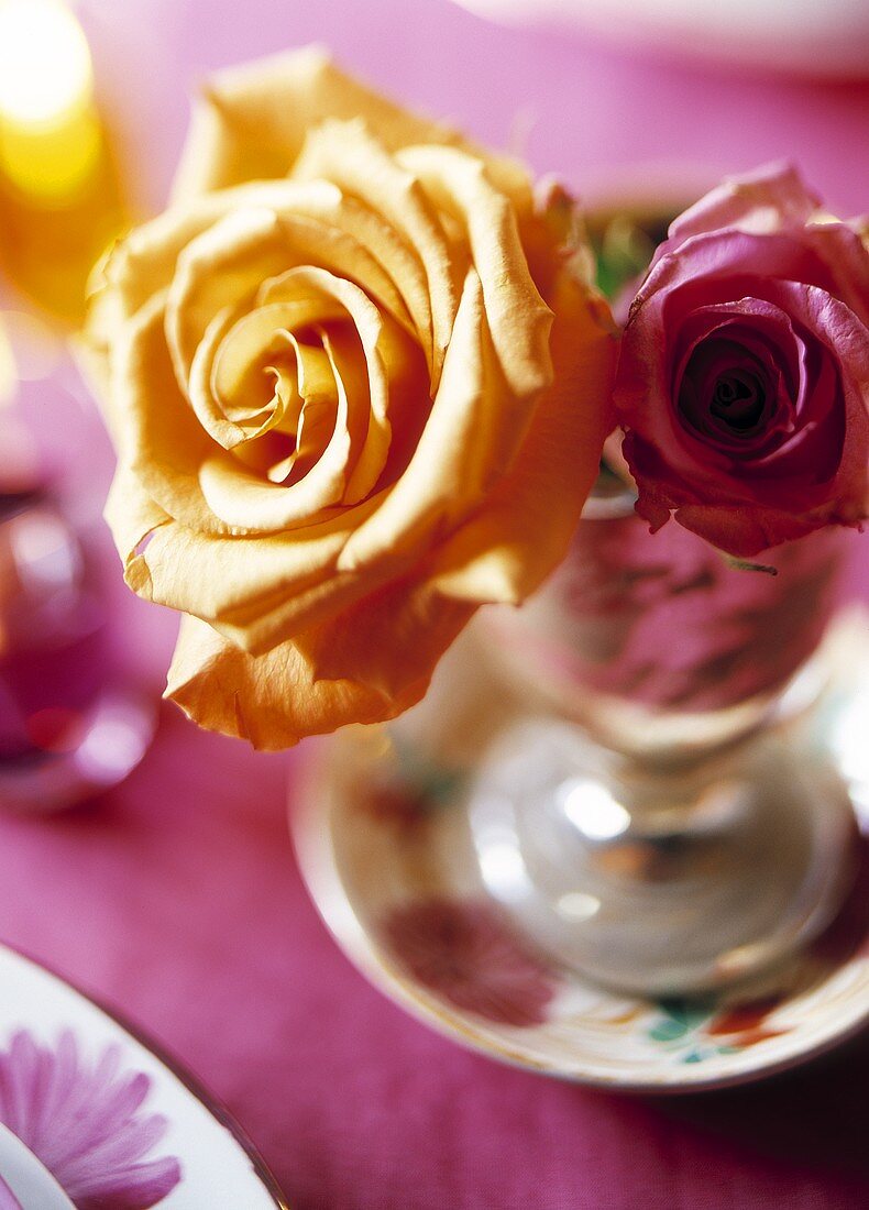 Gelbe und rote Rose in einem Glas als Tischdekoration