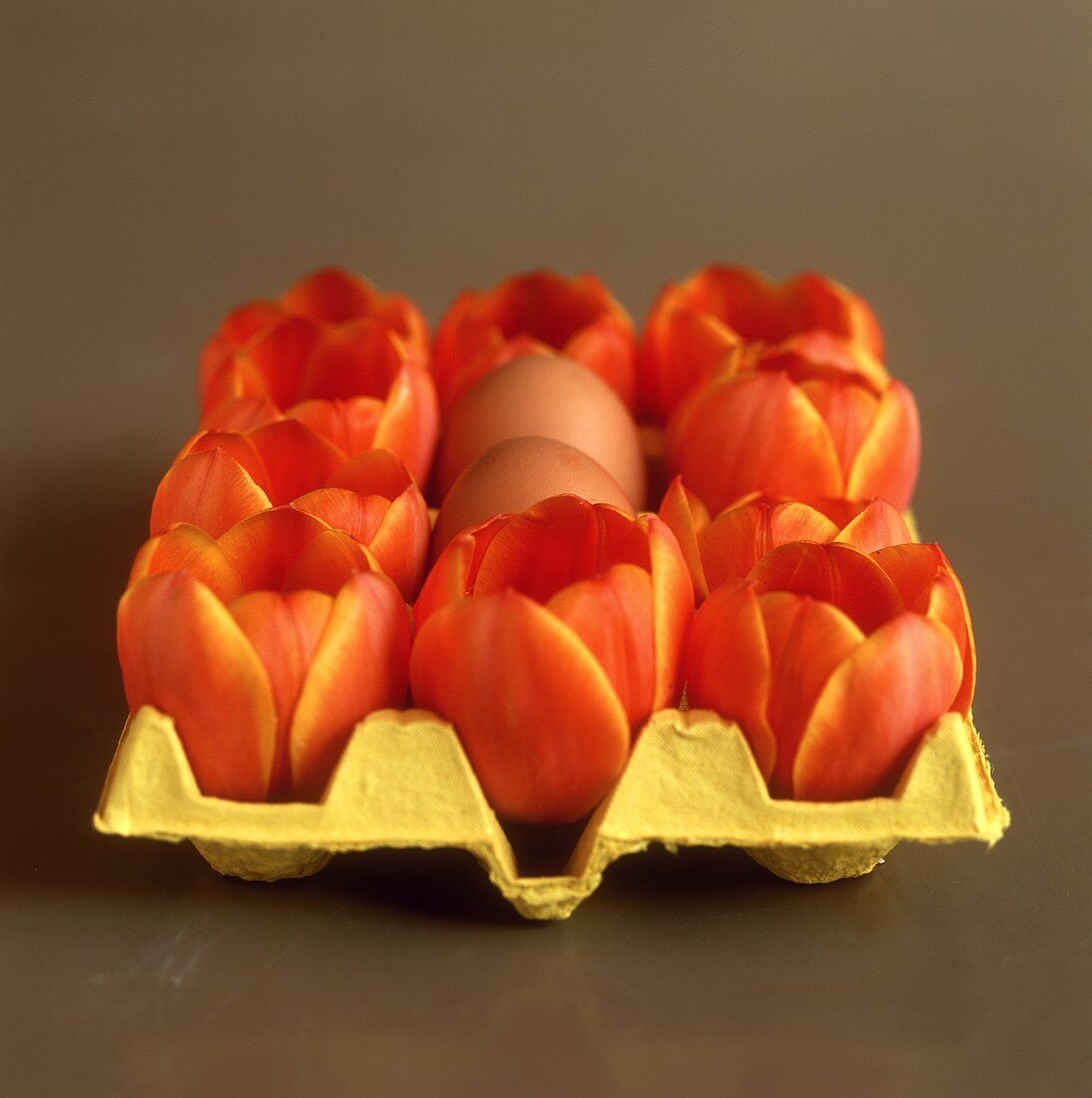 Eierkarton mit Tulpen und Eiern
