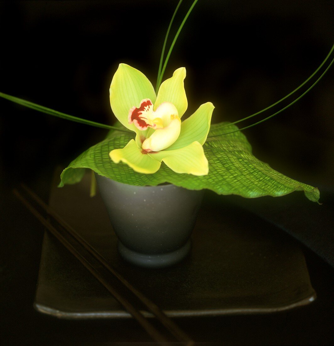 Orchideenblüte als Tischdeko