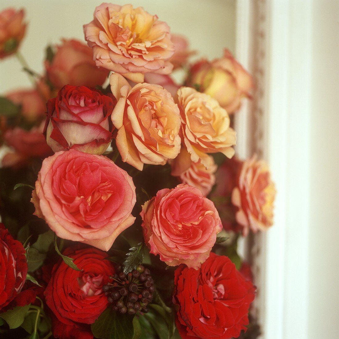 Bouquet of roses (close-up)
