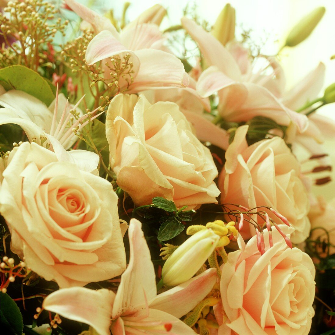 Bouquet of roses and lilies (close-up)