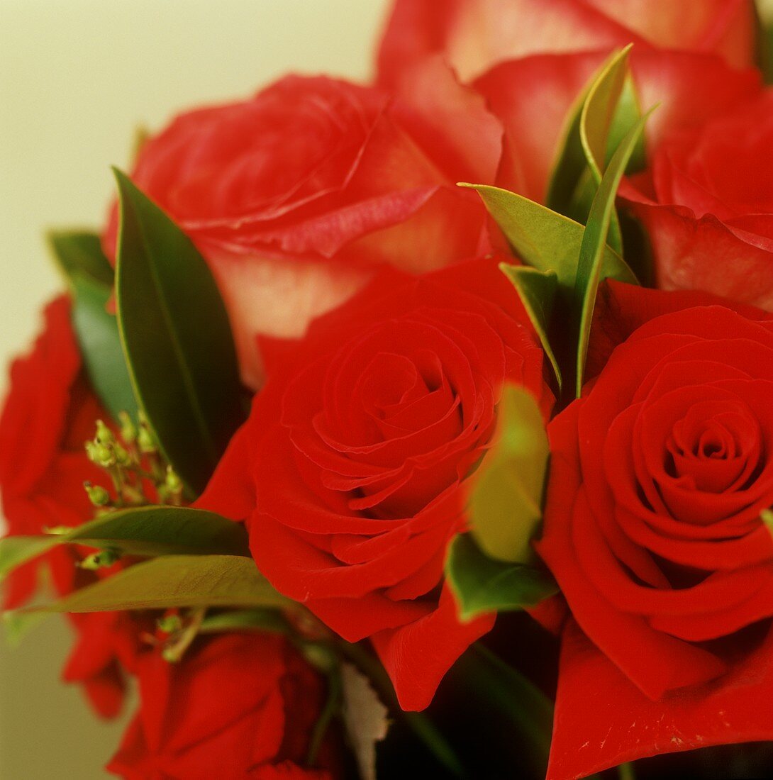 Blumenstrauss mit roten Rosen (Ausschnitt)