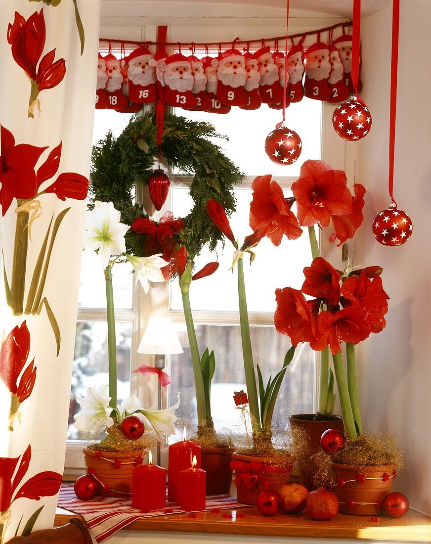 Red & white Xmas window decoration with plants, candles etc.