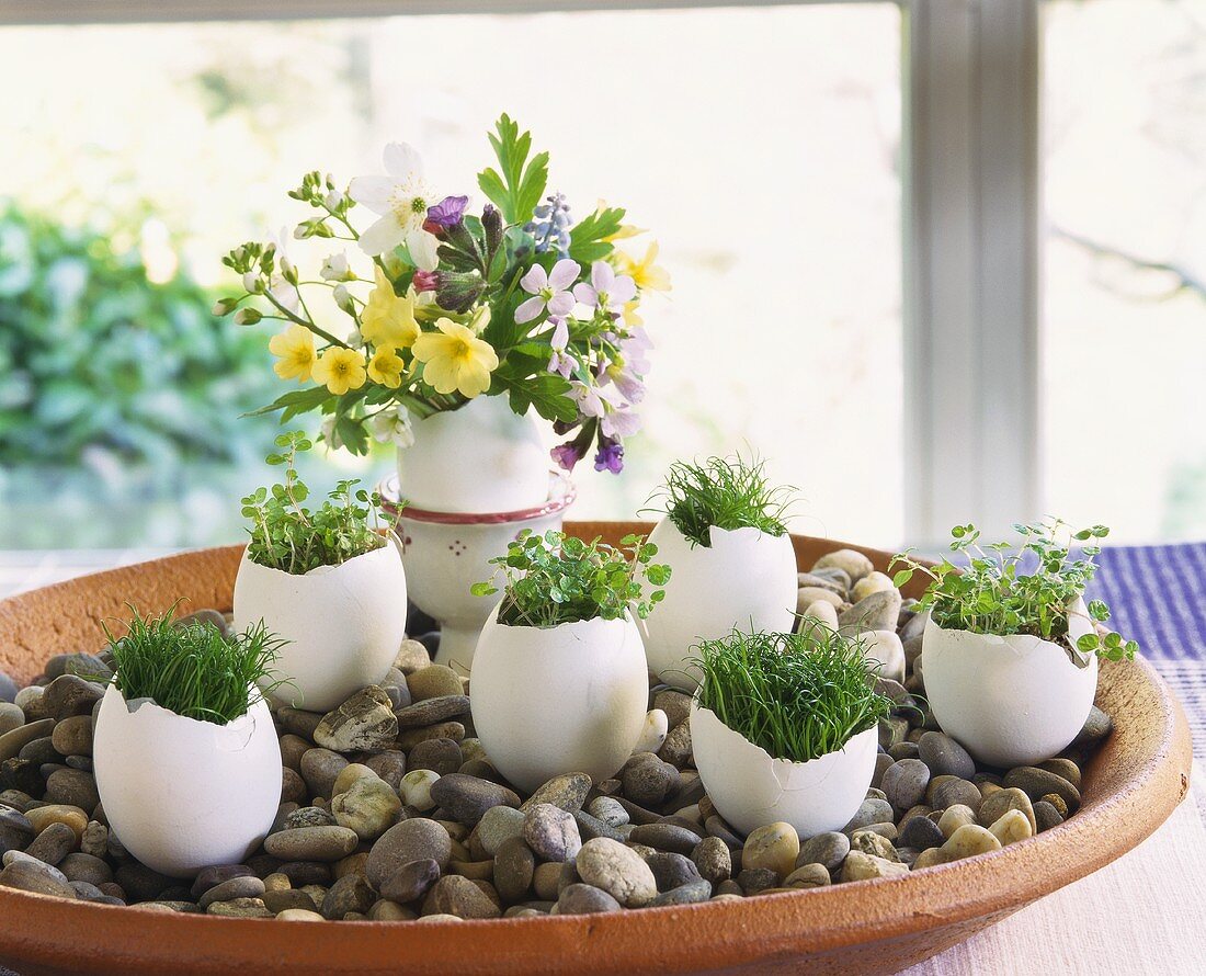 Easter decoration: egg shells filled with herbs and flowers