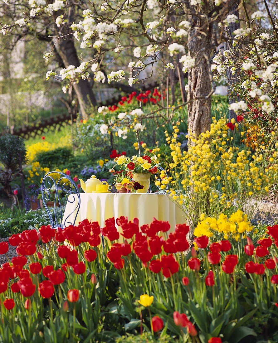 Blick in einen Garten mit Tulpenbeeten, Kaffeetisch etc.