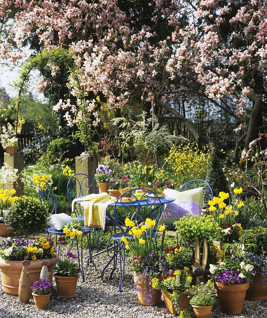 Garten mit Frühlingsblumen, Kaffeetisch etc.