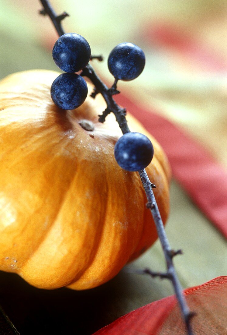 Small orange pumpkin and sprig of sloes