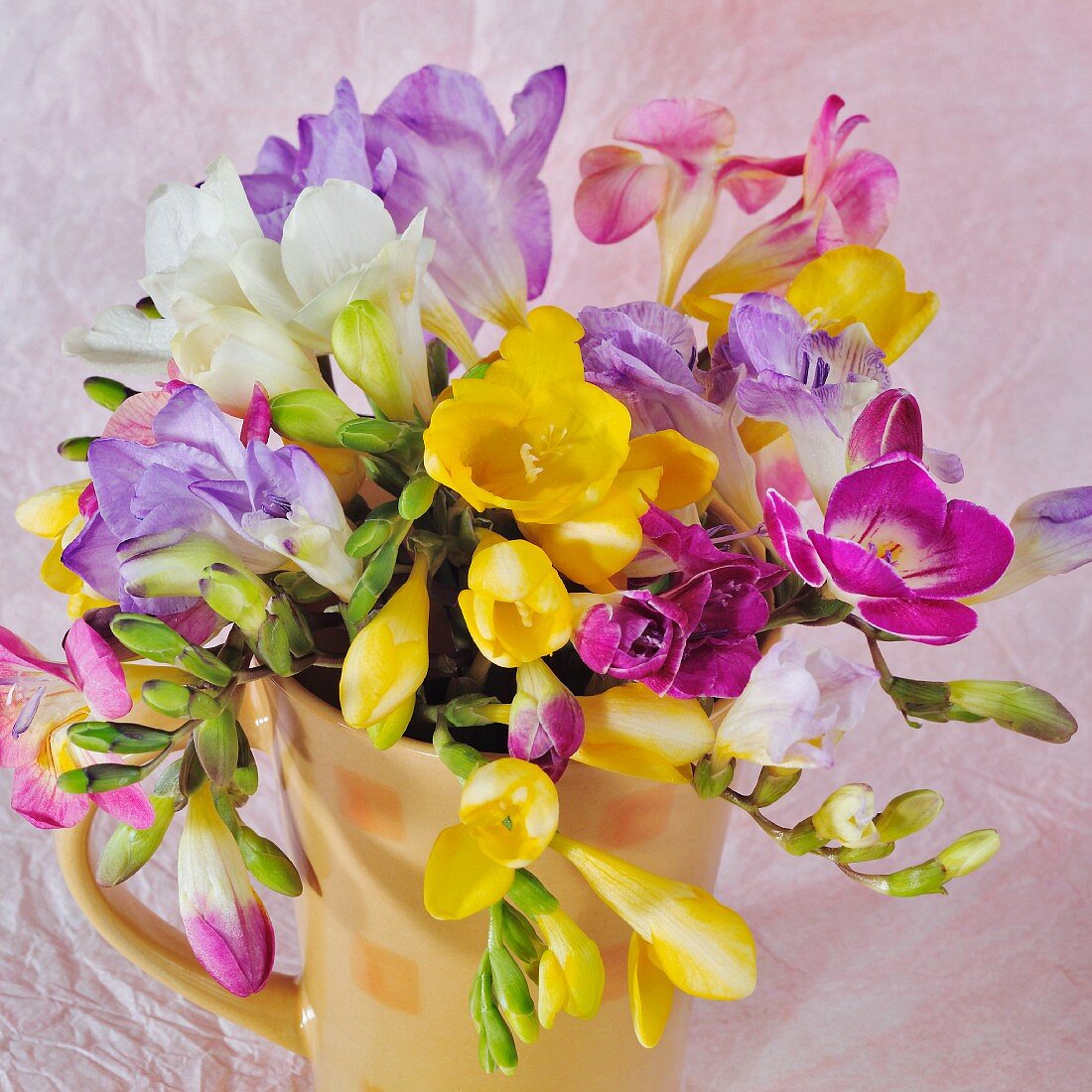 Colourful bouquet with freesias