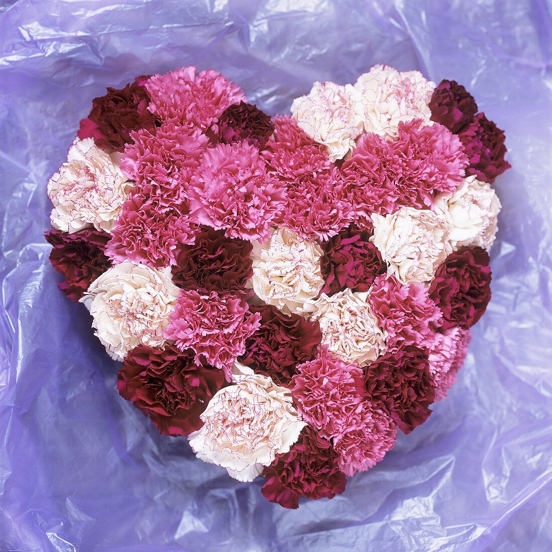 Heart shape in red and white carnations