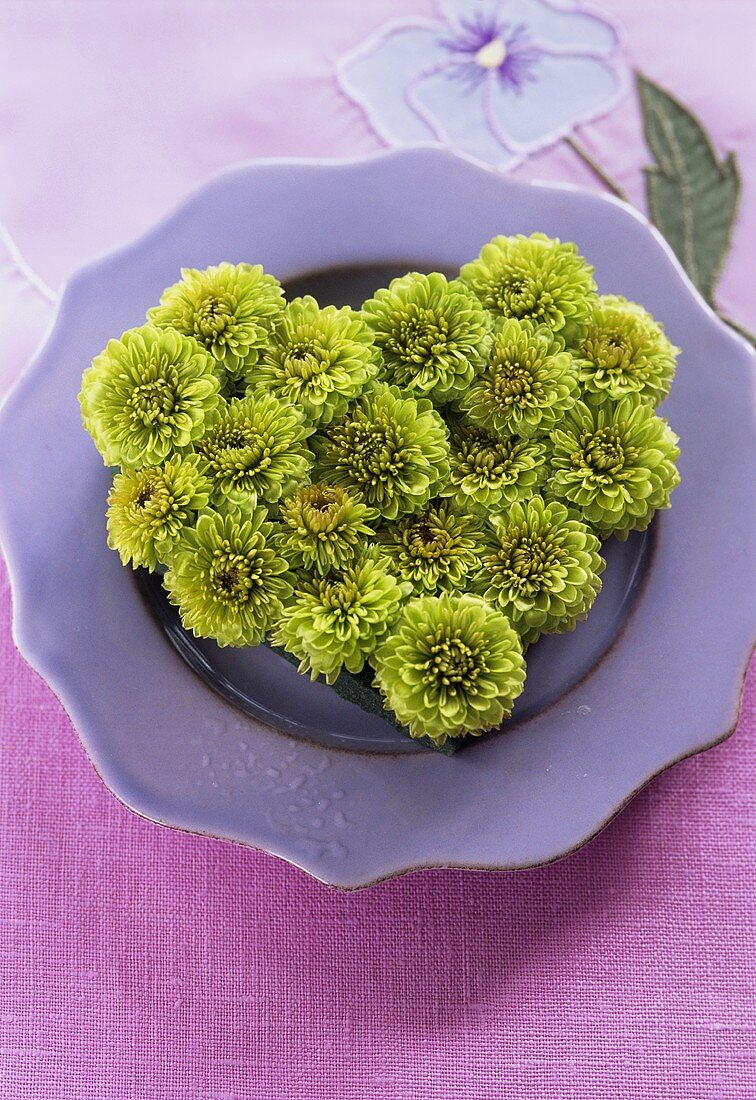 Chrysanthemums arranged in shape of heart on plate