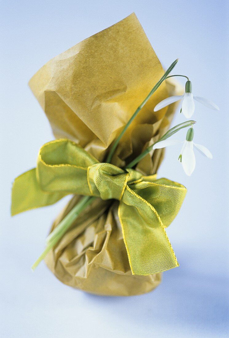 Small bag with green bow and snowdrops