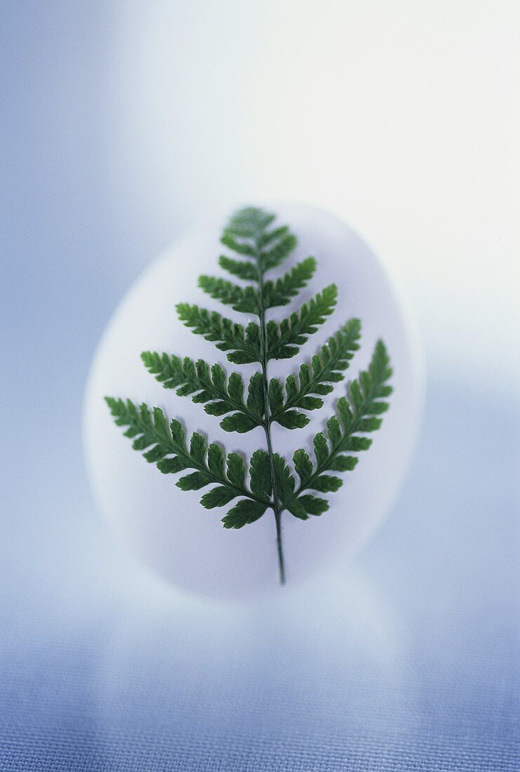 Easter egg with fern leaf