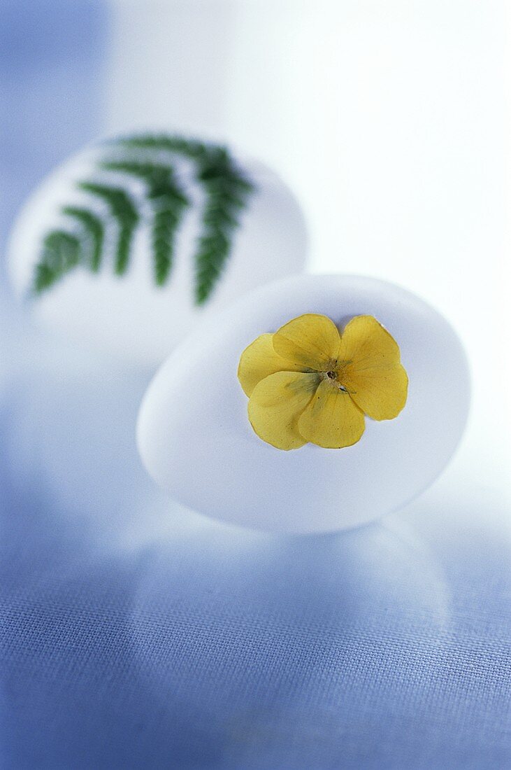 Two Easter eggs (with yellow flower and with fern leaf)