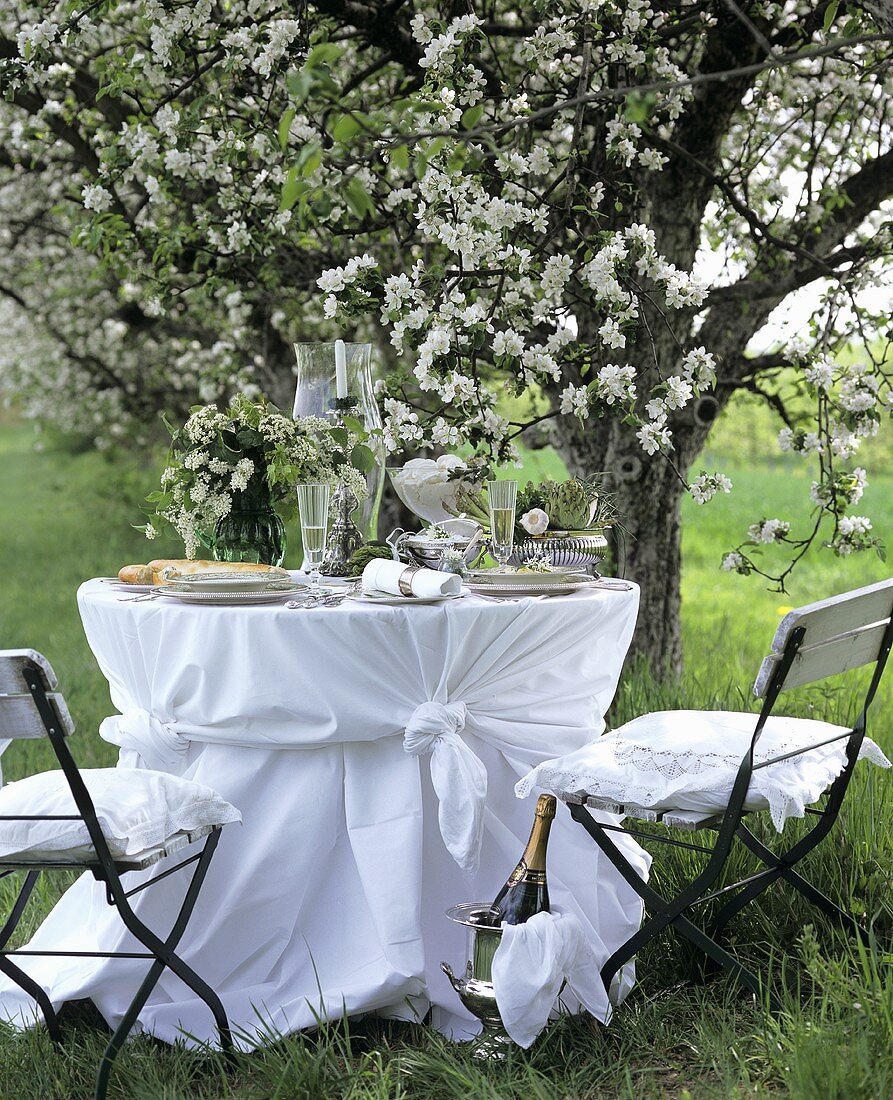 Weiß gedeckter Tisch unter blühendem Apfelbaum