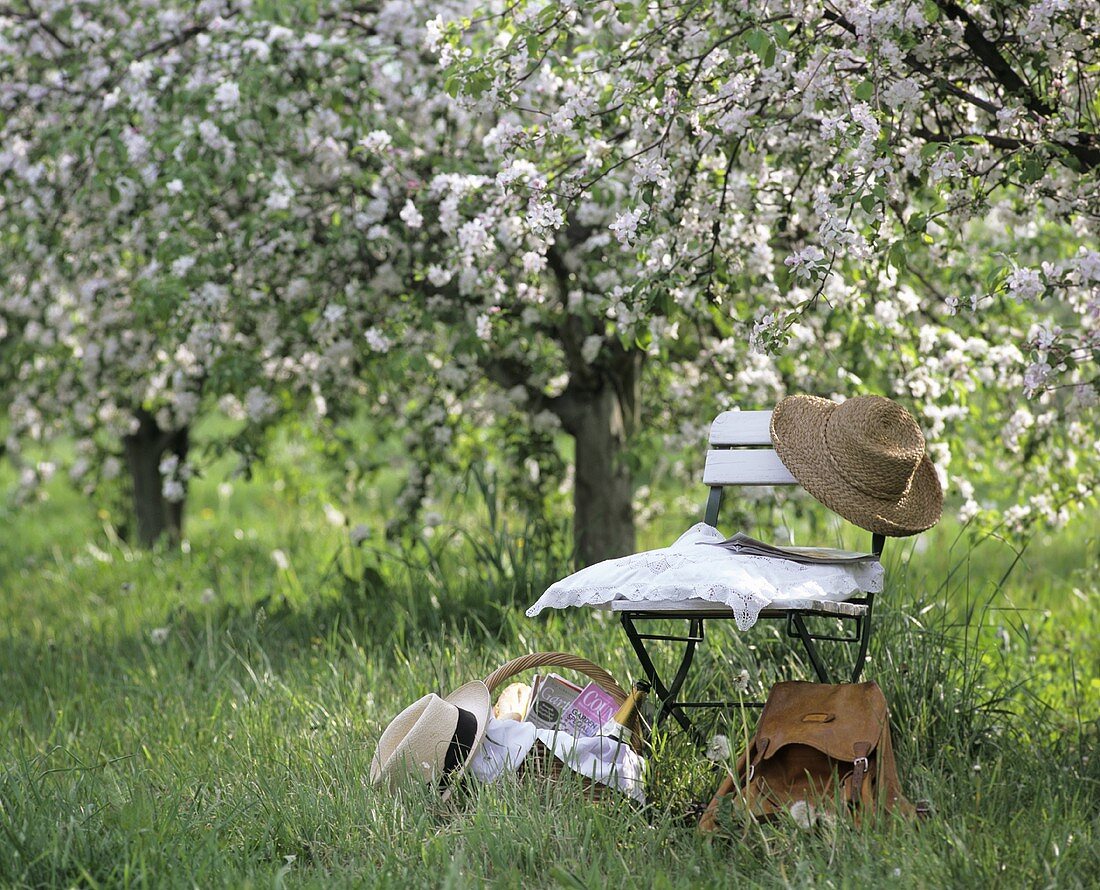 Stuhl, Rucksack und Picknickkorb unter blühendem Apfelbaum