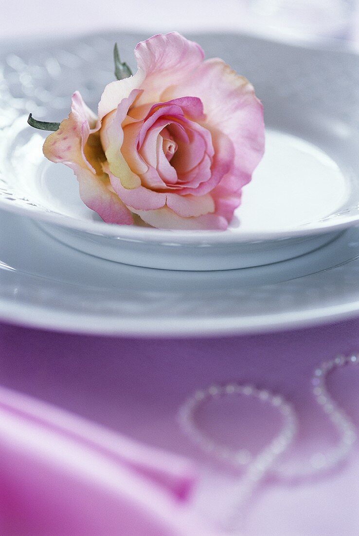 Rose in einem Teller als Tischdekoration