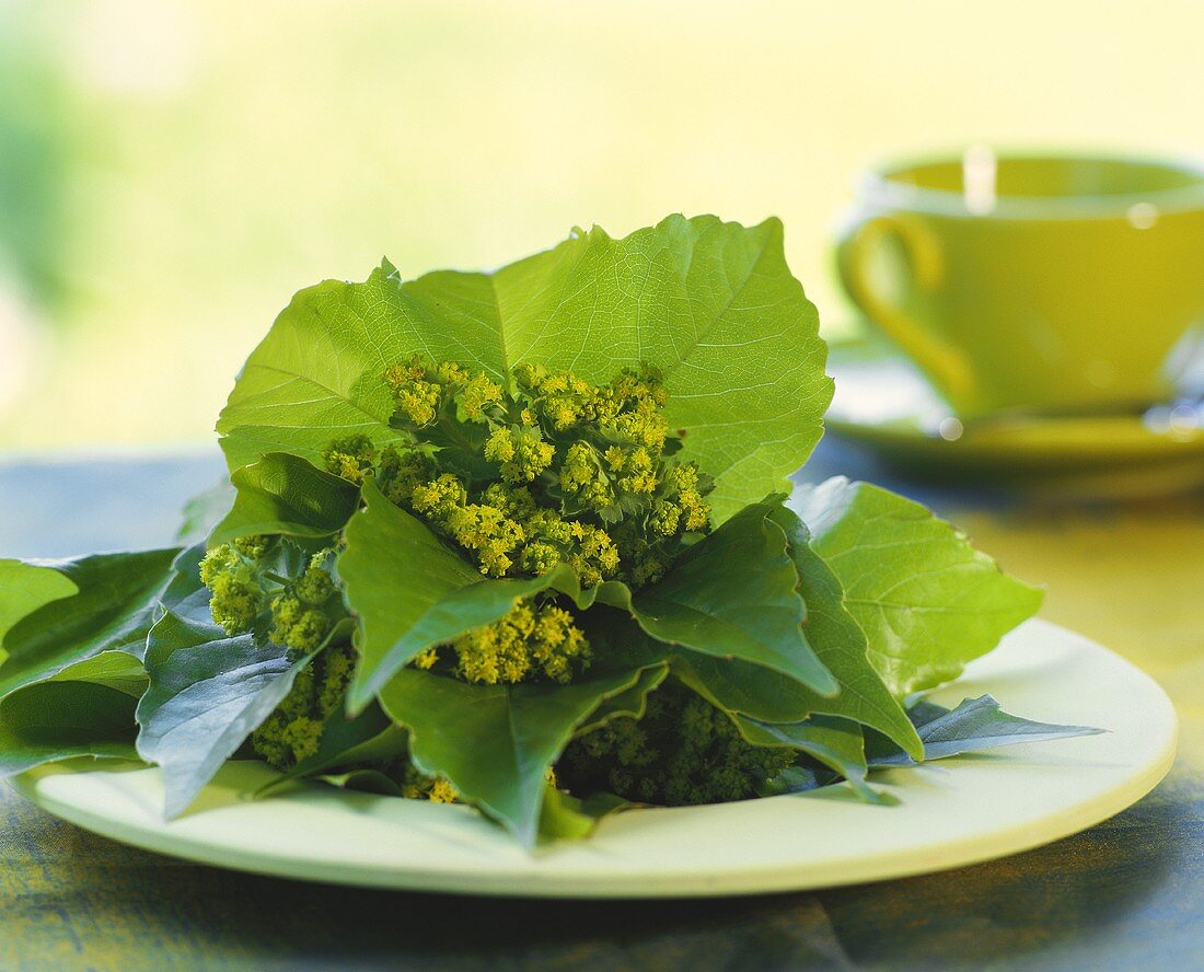 Lady's mantle in vine leaves as table decoration