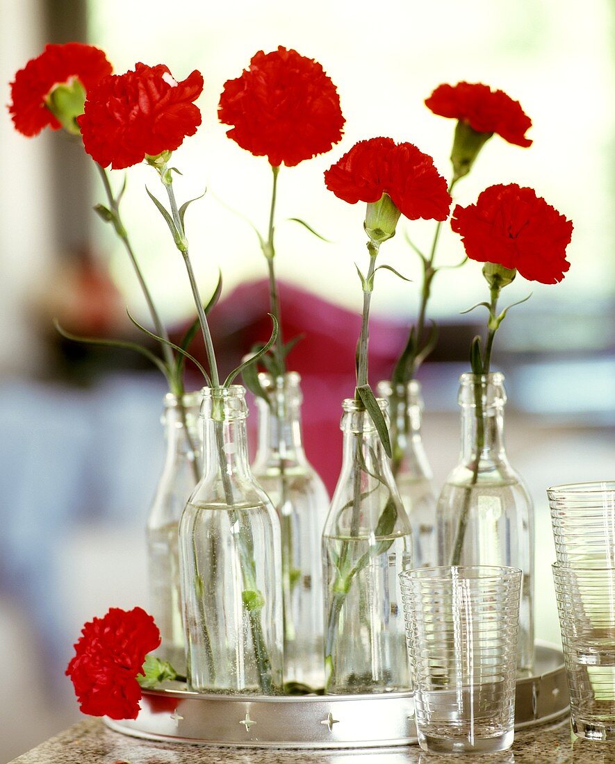 Red carnations in glass bottles on a tray