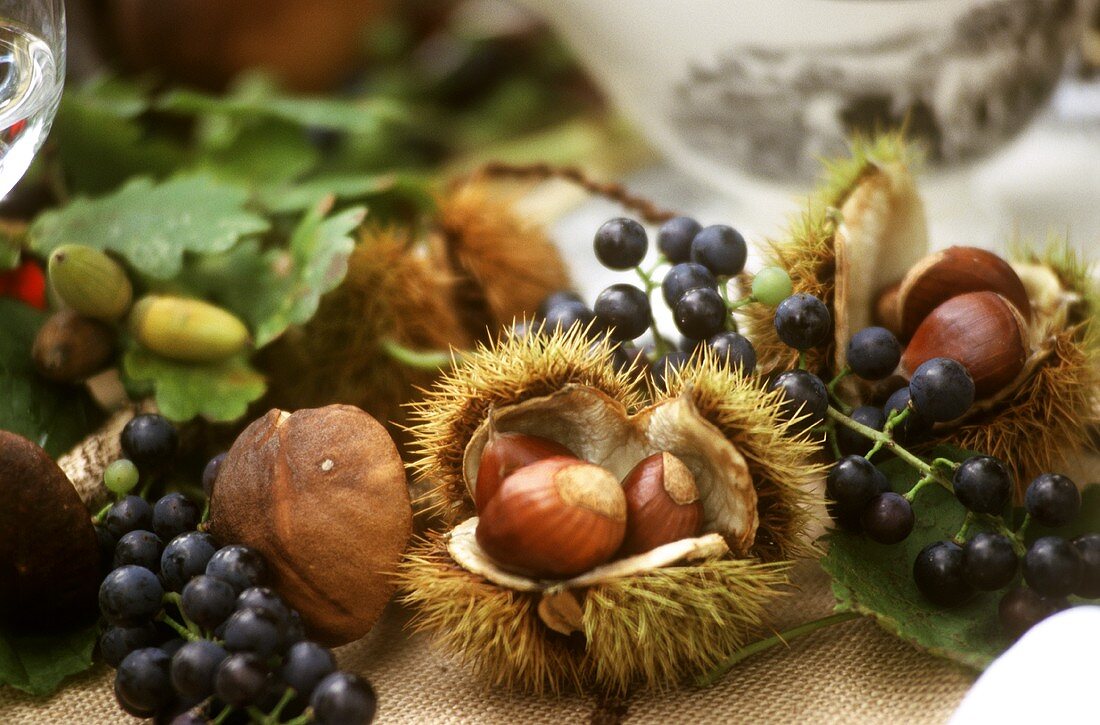 Früchte des Herbstes: Esskastanien, Trauben, Pilze etc.