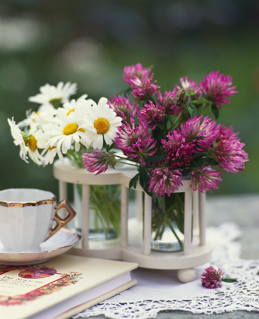 Daisies and clover as table decoration