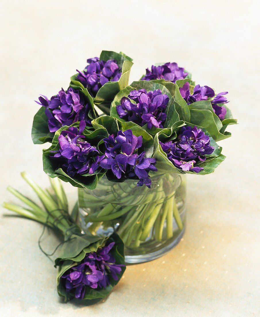 Bunches of blue violets in a glass