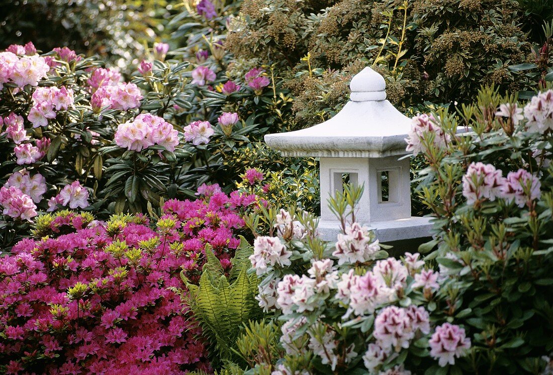 Kleine asiatische Pagode umgeben von Azaleen und Rhododendron