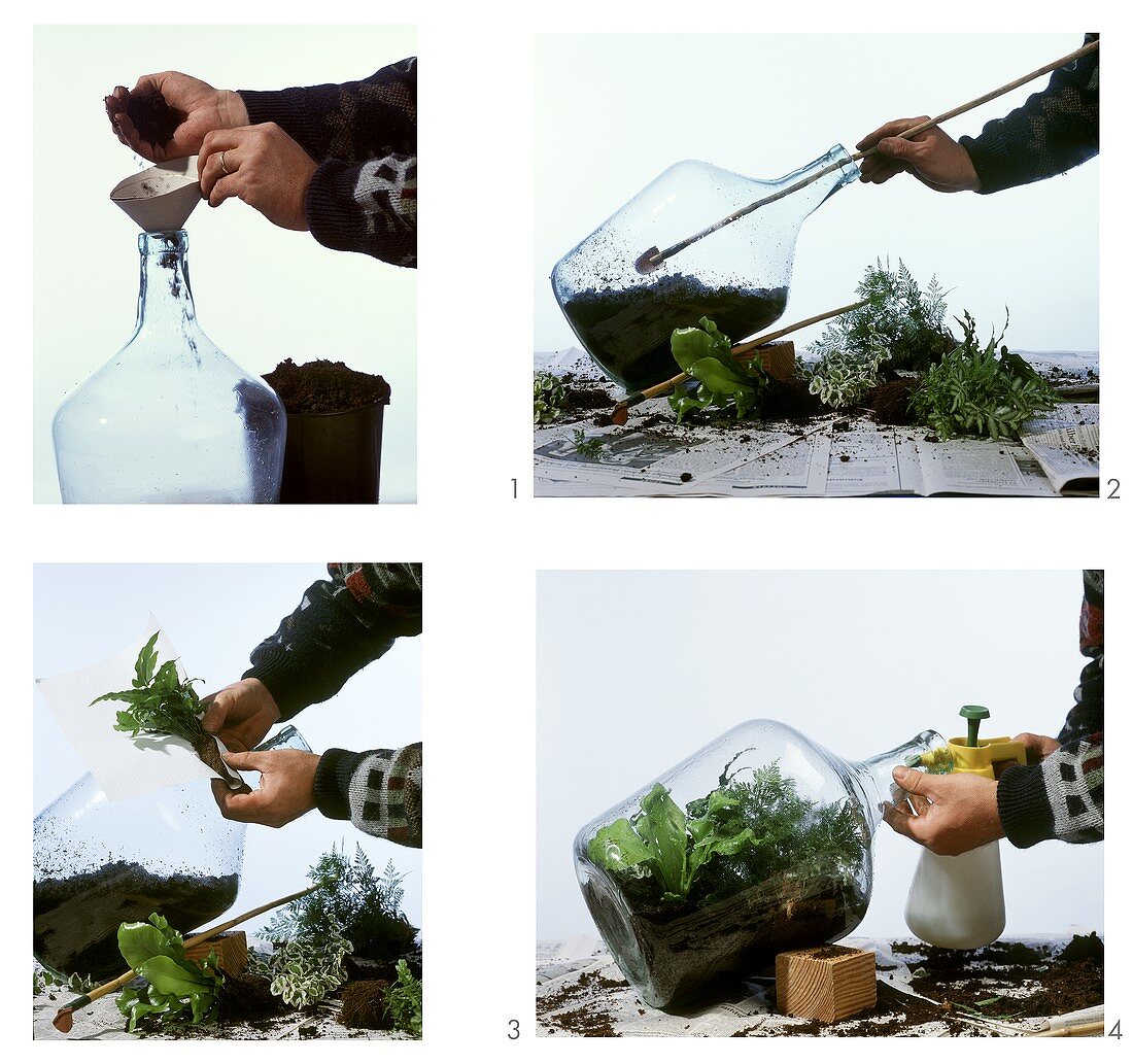 Steps: making a bottle garden