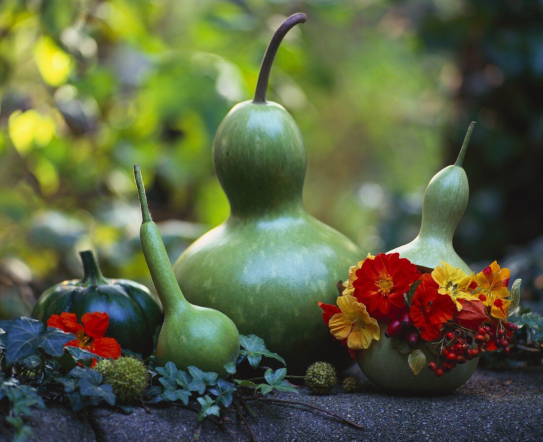 Bottle gourds (Calabash), one with a wreath of flowers