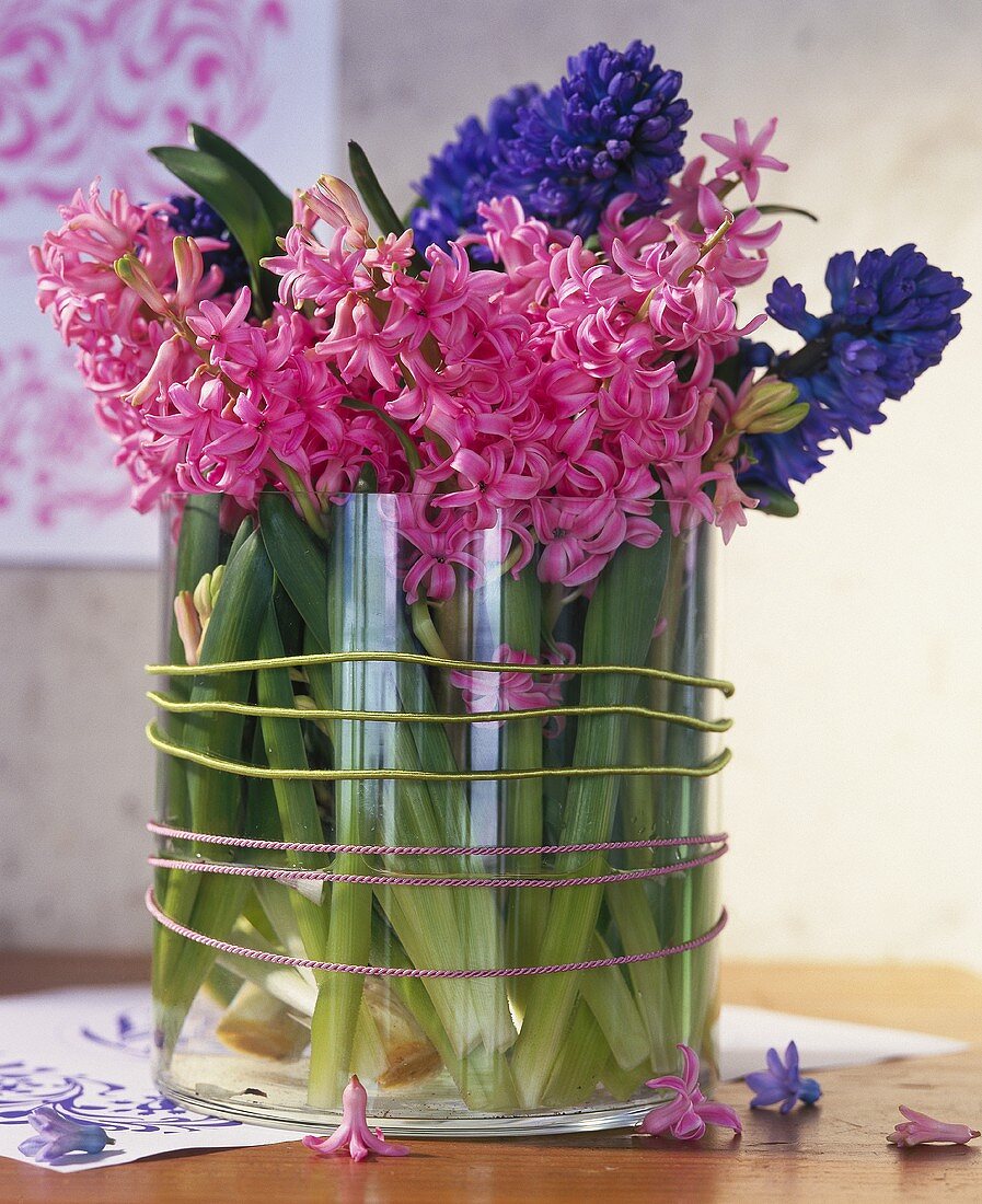 Fragrant hyacinths in a glass vase