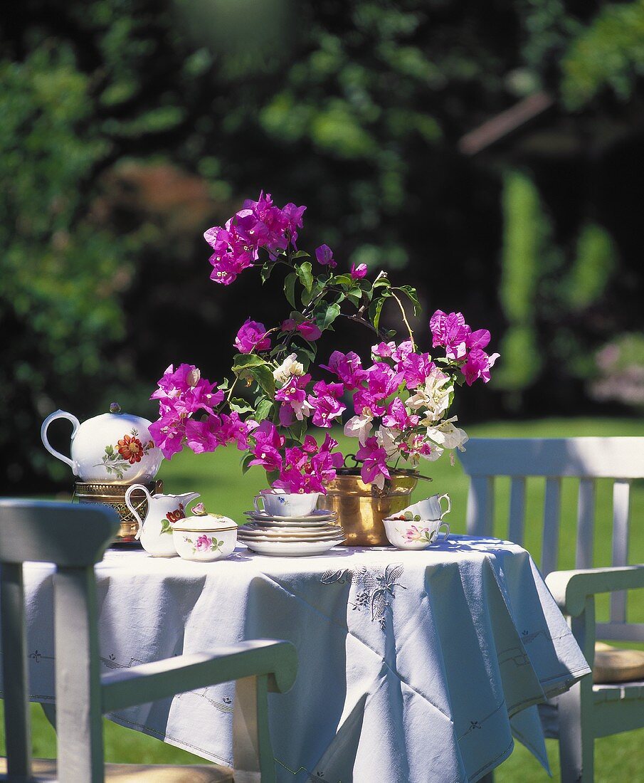 Tisch im Garten mit Teeservice und Bougainvillea