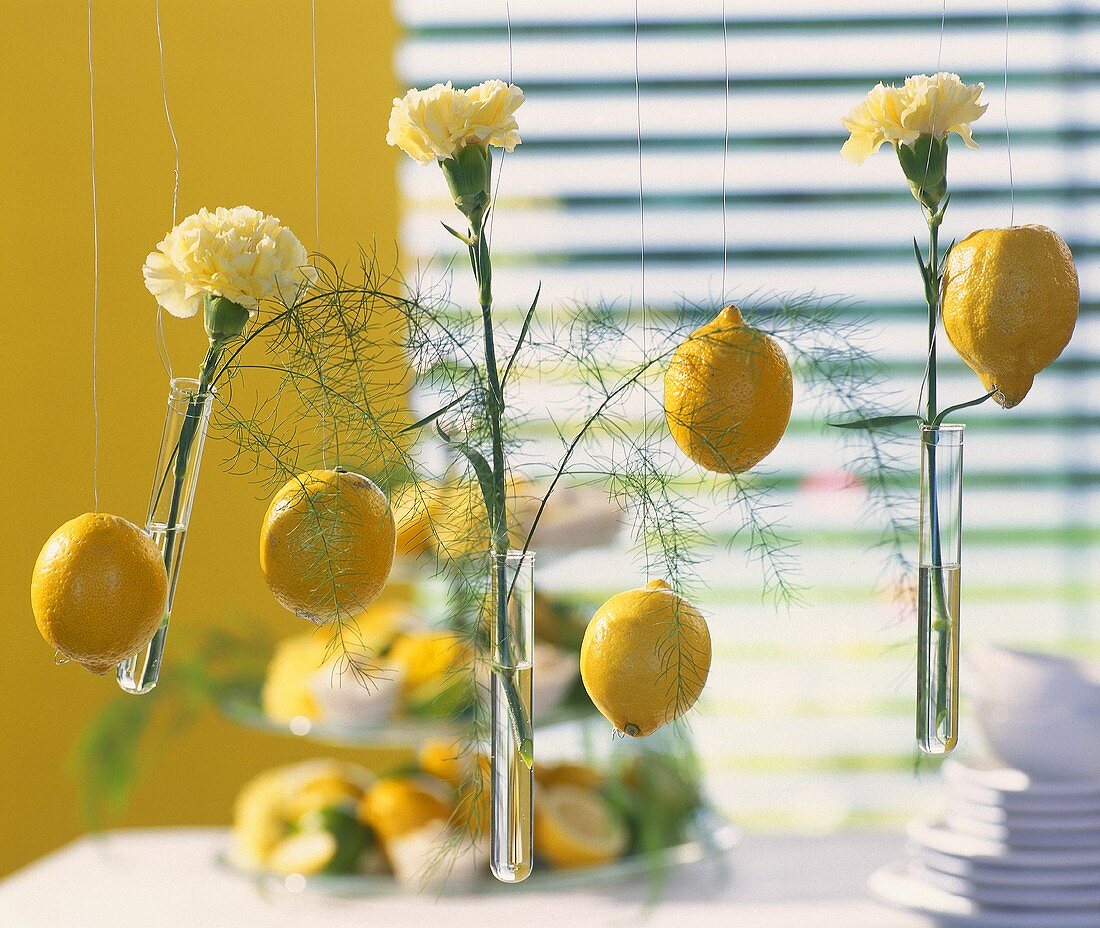 Decorative idea: lemons & yellow carnations hanging on wires