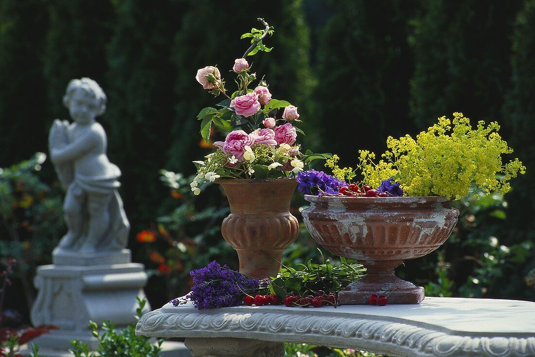 Flowers and cherries arranged in terracotta urns